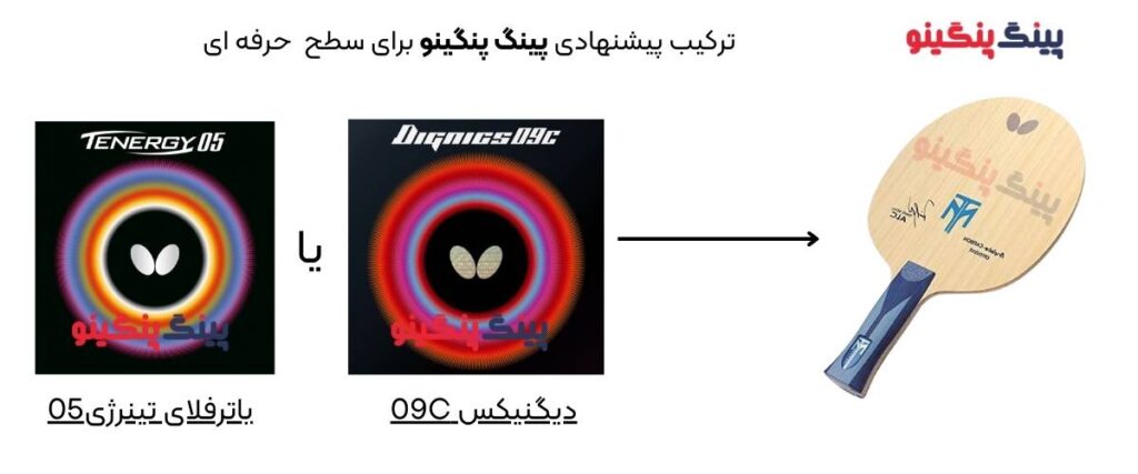 پیشنهاد پینگ پنگینو
