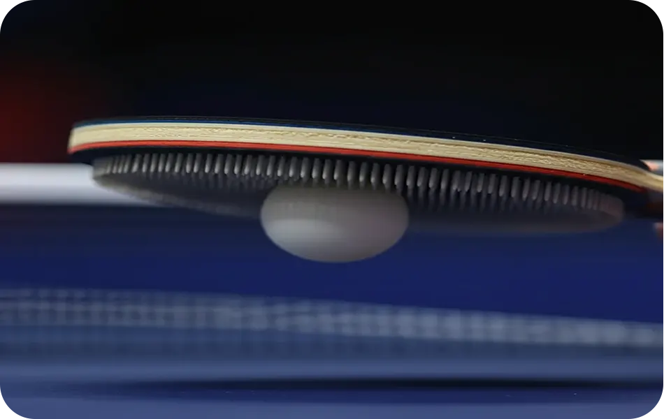 رویه راکت پینگ پنگ دانه بلند